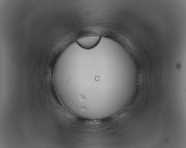 X0000093560318200710151001
