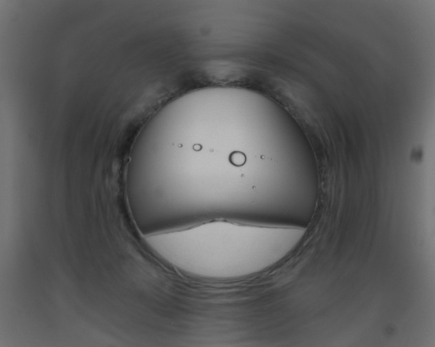 X0000093560319200710151001