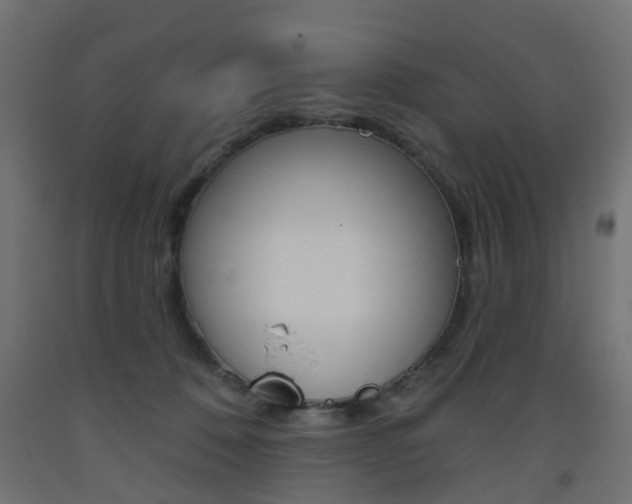 X0000093560320200710151001