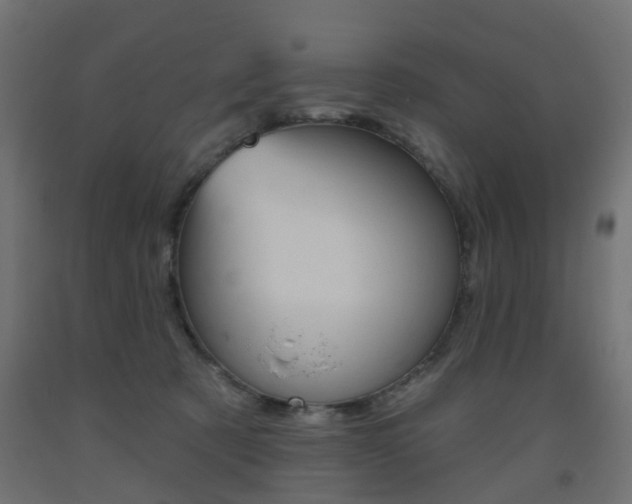 X0000093560321200710151001