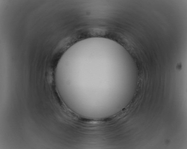 X0000093560323200710151001