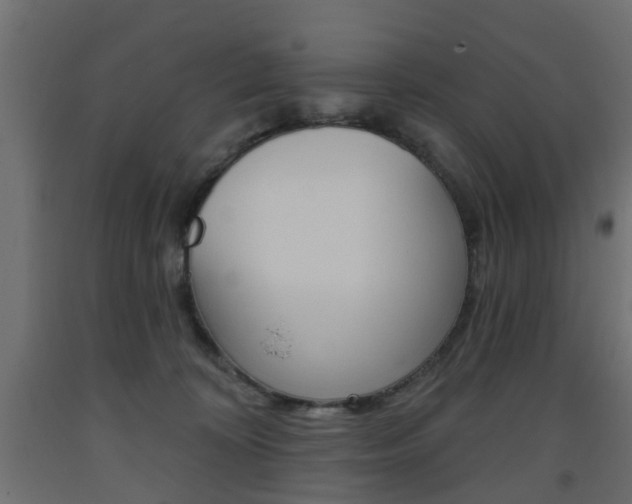X0000093560324200710151001