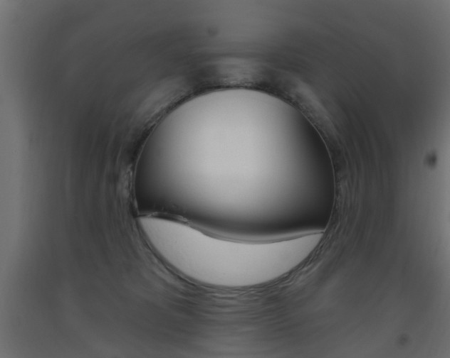 X0000093560325200710151001