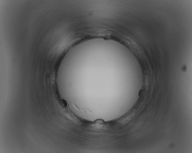 X0000093560326200710151001