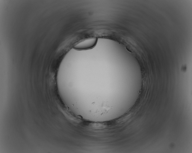 X0000093560327200710151001