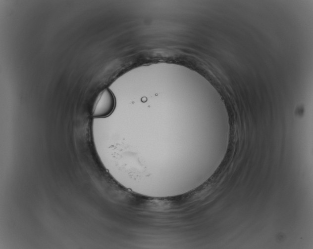 X0000093560328200710151001