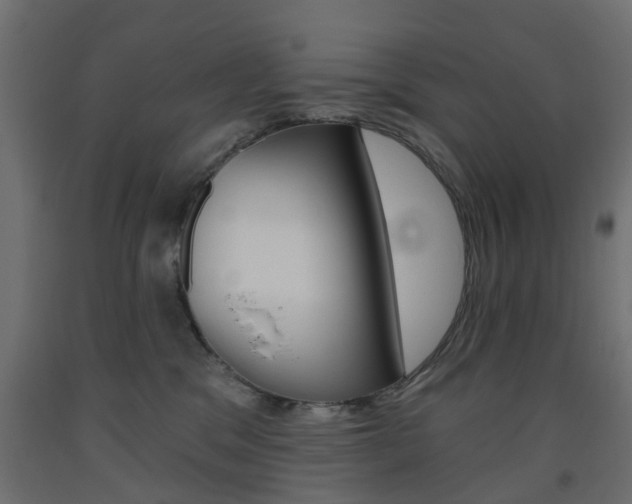 X0000093560329200710151001