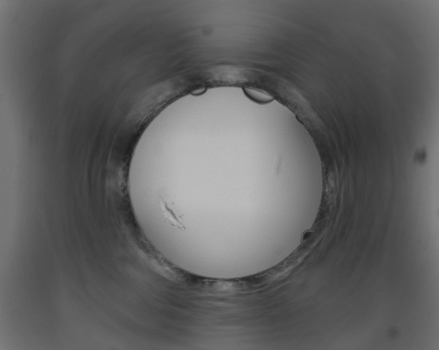 X0000093560330200710151001