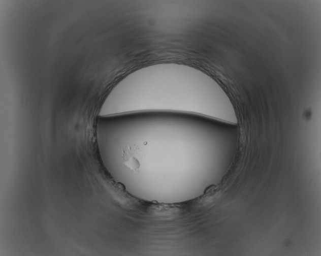 X0000093560331200710151001