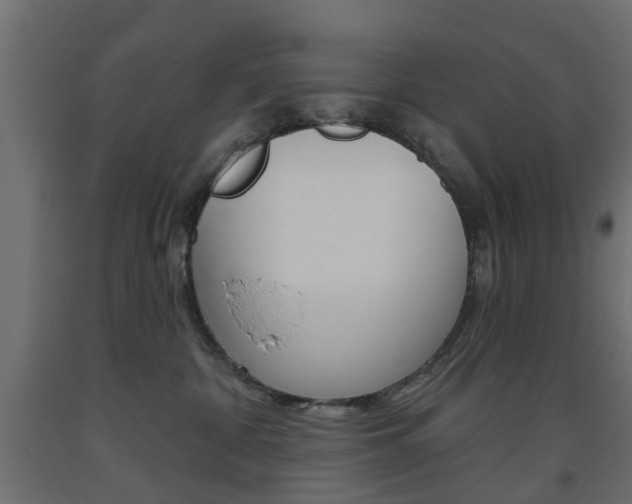 X0000093560332200710151001
