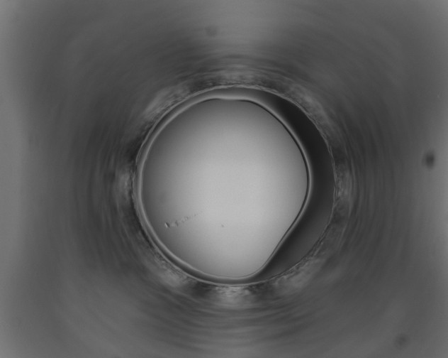 X0000093560333200710151001