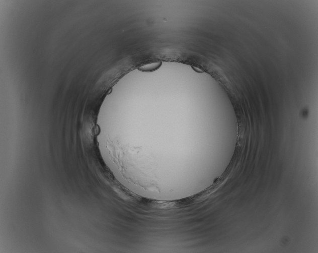 X0000093560334200710151001