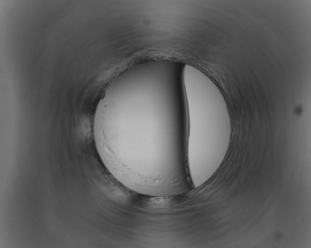 X0000093560335200710151001