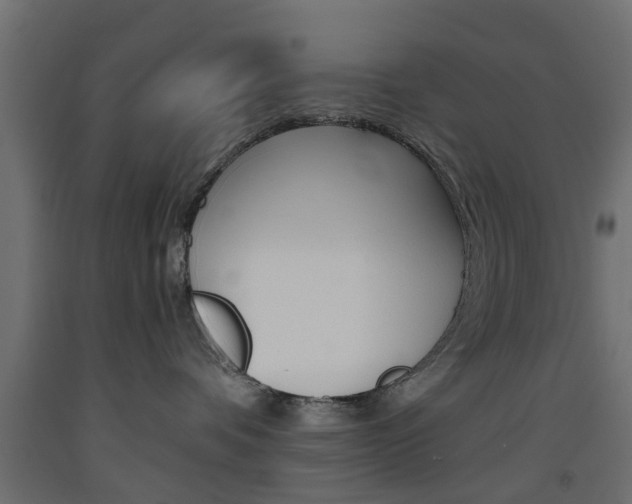 X0000093560336200710151001