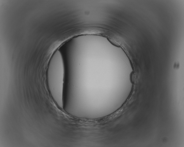 X0000093560337200710151000