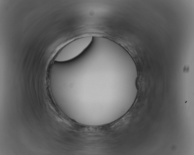 X0000093560338200710151000