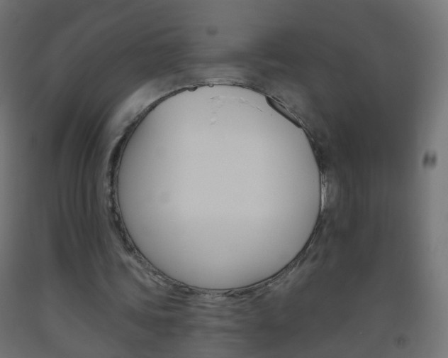 X0000093560339200710151000