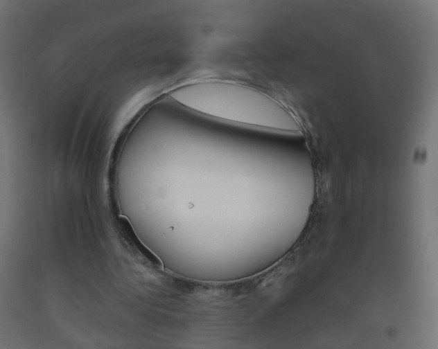 X0000093560340200710151000