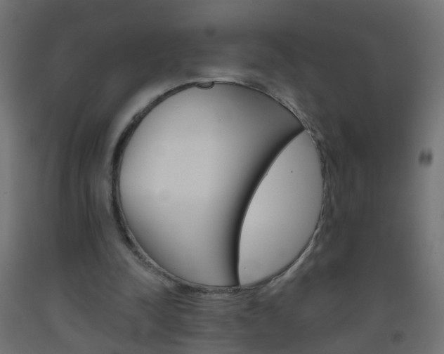 X0000093560342200710151000