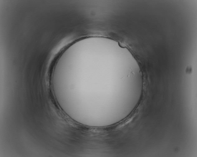 X0000093560343200710151000