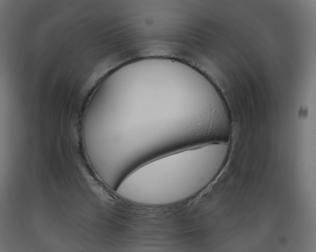 X0000093560345200710151001