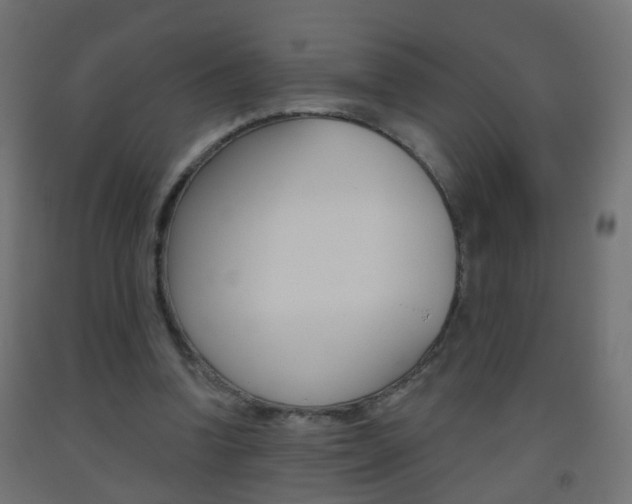 X0000093560346200710151001