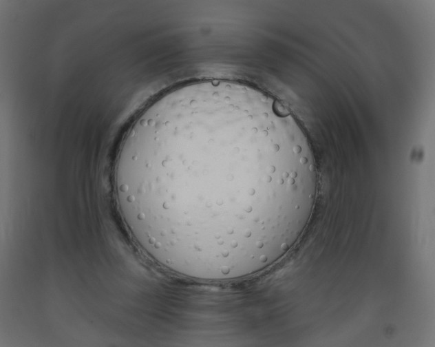 X0000093560347200710151001