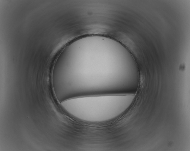 X0000093560348200710151001
