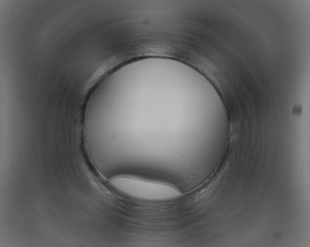 X0000093560349200710151001
