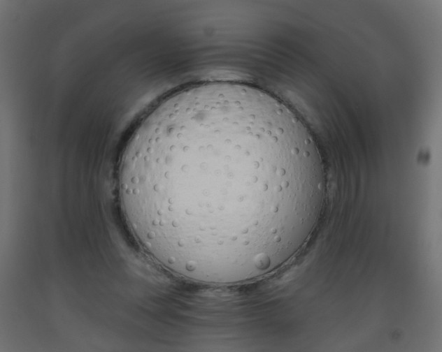 X0000093560351200710151001