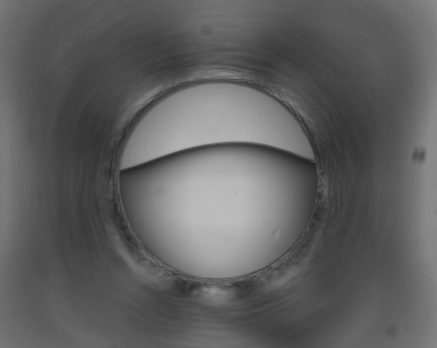 X0000093560352200710151001