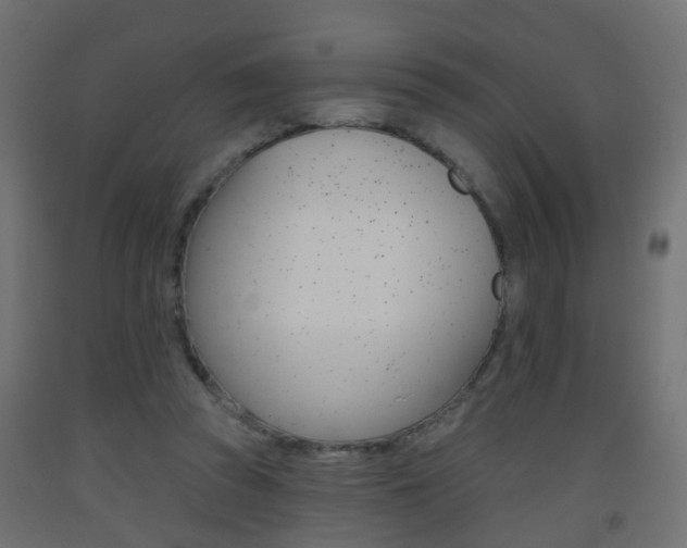 X0000093560353200710151001