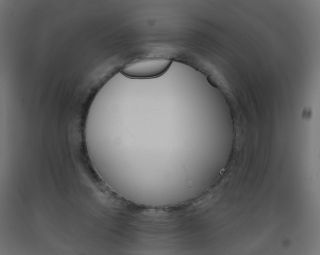 X0000093560354200710151001