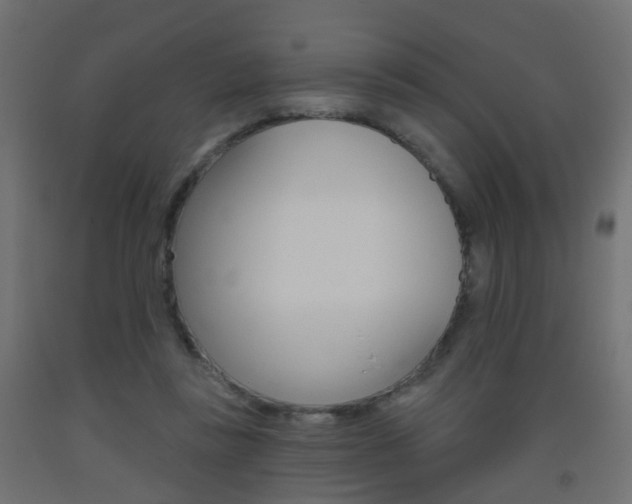 X0000093560355200710151001