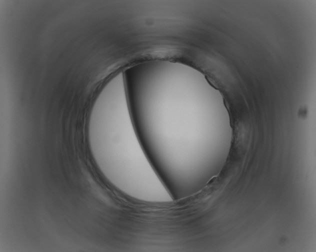 X0000093560356200710151001