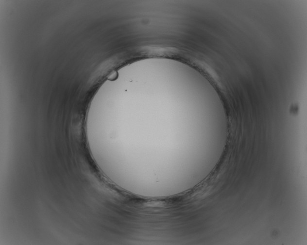 X0000093560357200710151001