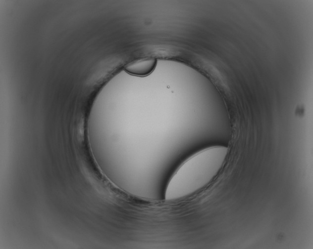 X0000093560358200710151001