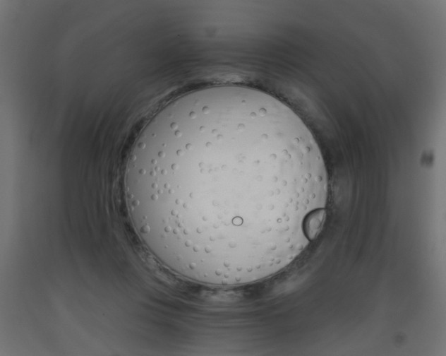X0000093560359200710151001