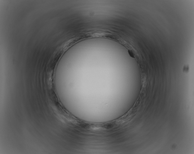 X0000093560360200710151001