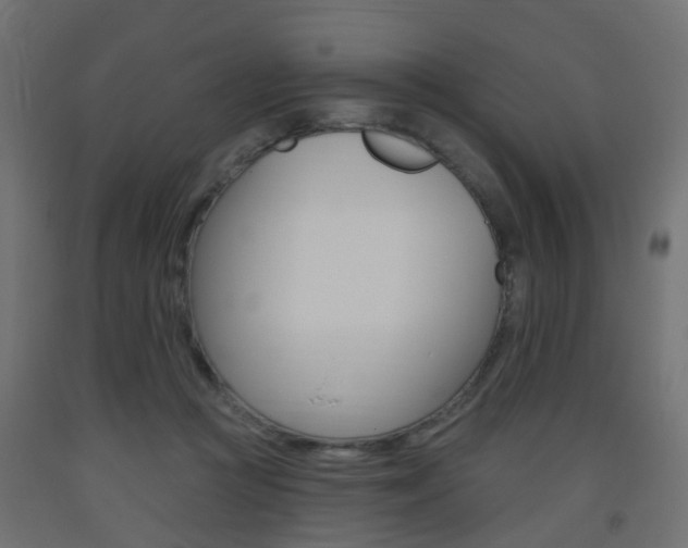 X0000093560361200710151001