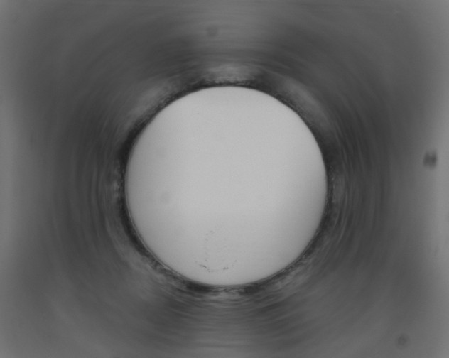 X0000093560362200710151001