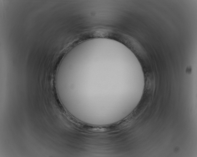 X0000093560363200710151001
