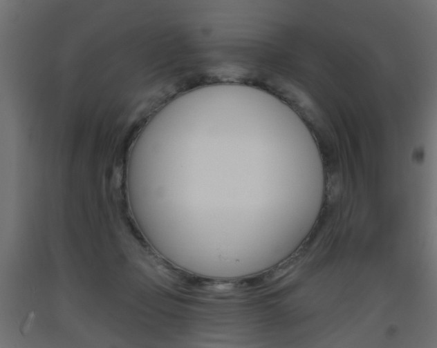 X0000093560365200710151001