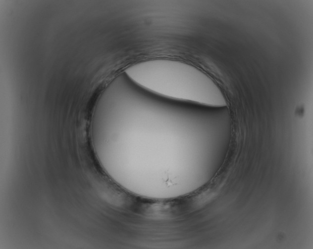 X0000093560366200710151001