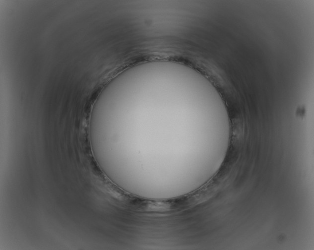 X0000093560369200710151001