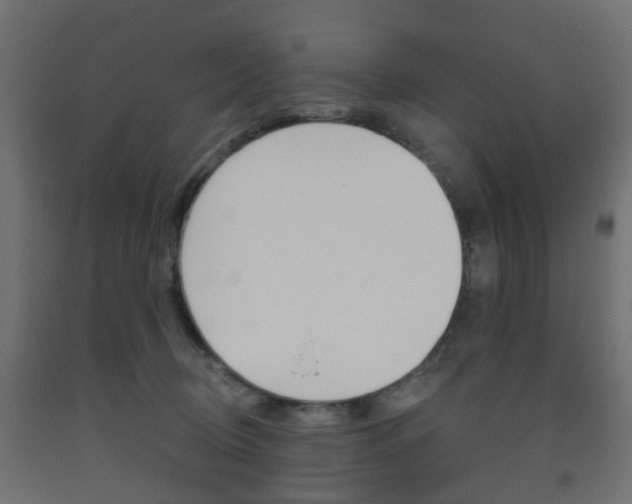 X0000093560370200710151001