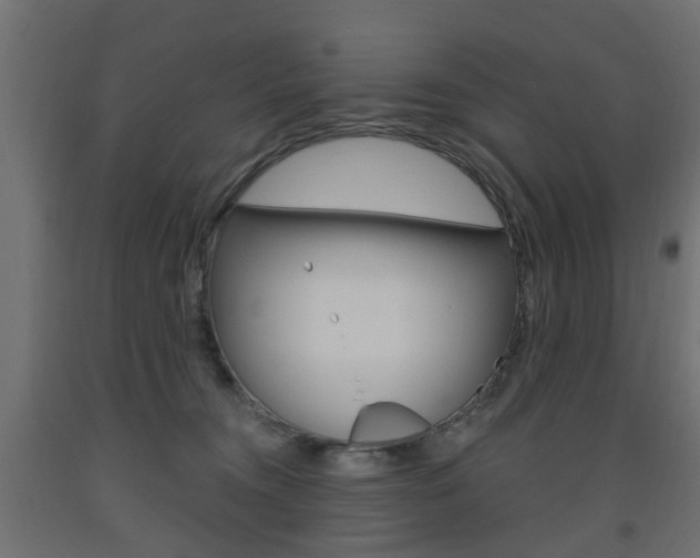 X0000093560372200710151001