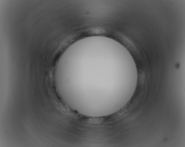 X0000093560373200710151001