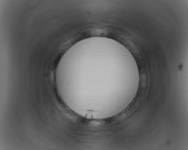 X0000093560375200710151001