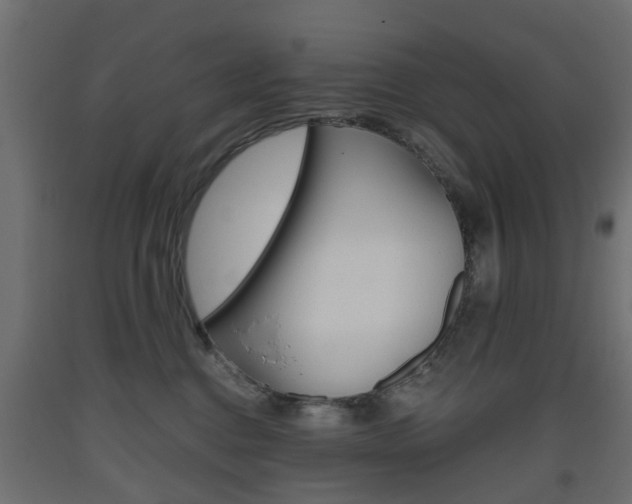 X0000093560376200710151001